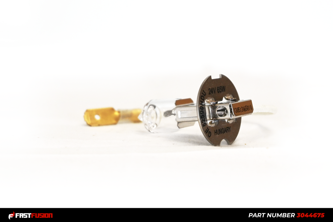 Bulb